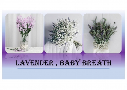 Lavender , Baby breath 